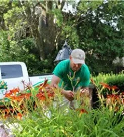 The Gardener