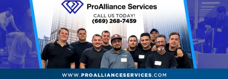 Pro Alliance Services LLC